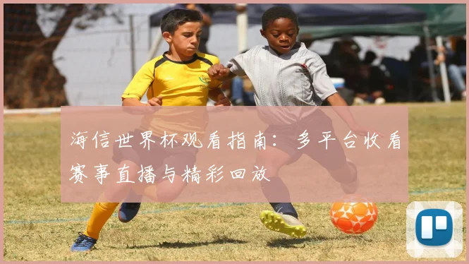 海信世界杯观看指南：多平台收看赛事直播与精彩回放