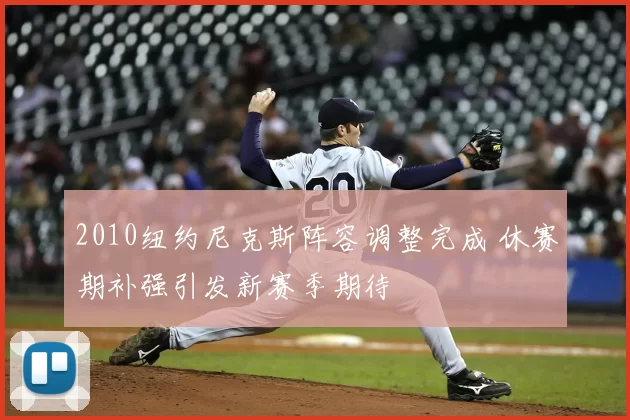 2010纽约尼克斯阵容调整完成 休赛期补强引发新赛季期待