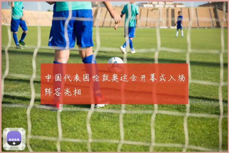 中国代表团伦敦奥运会开幕式入场阵容亮相