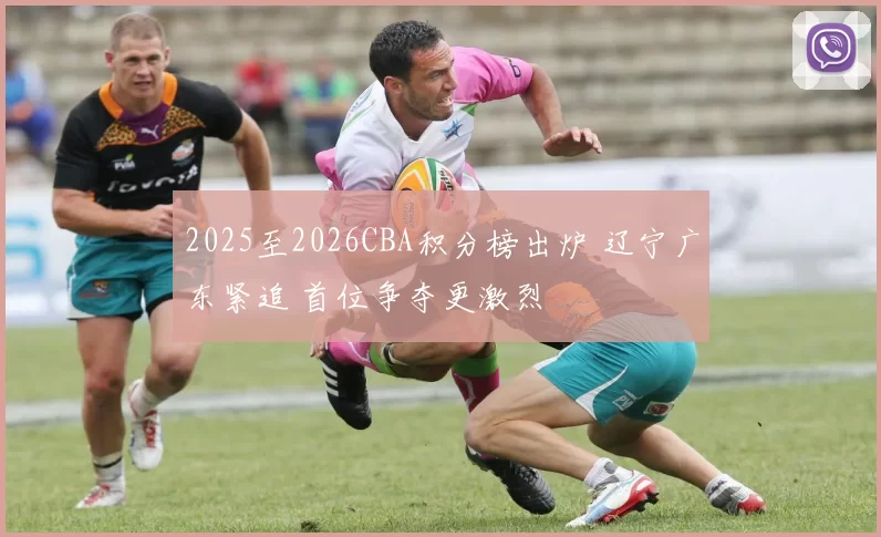 2025至2026CBA积分榜出炉 辽宁广东紧追 首位争夺更激烈